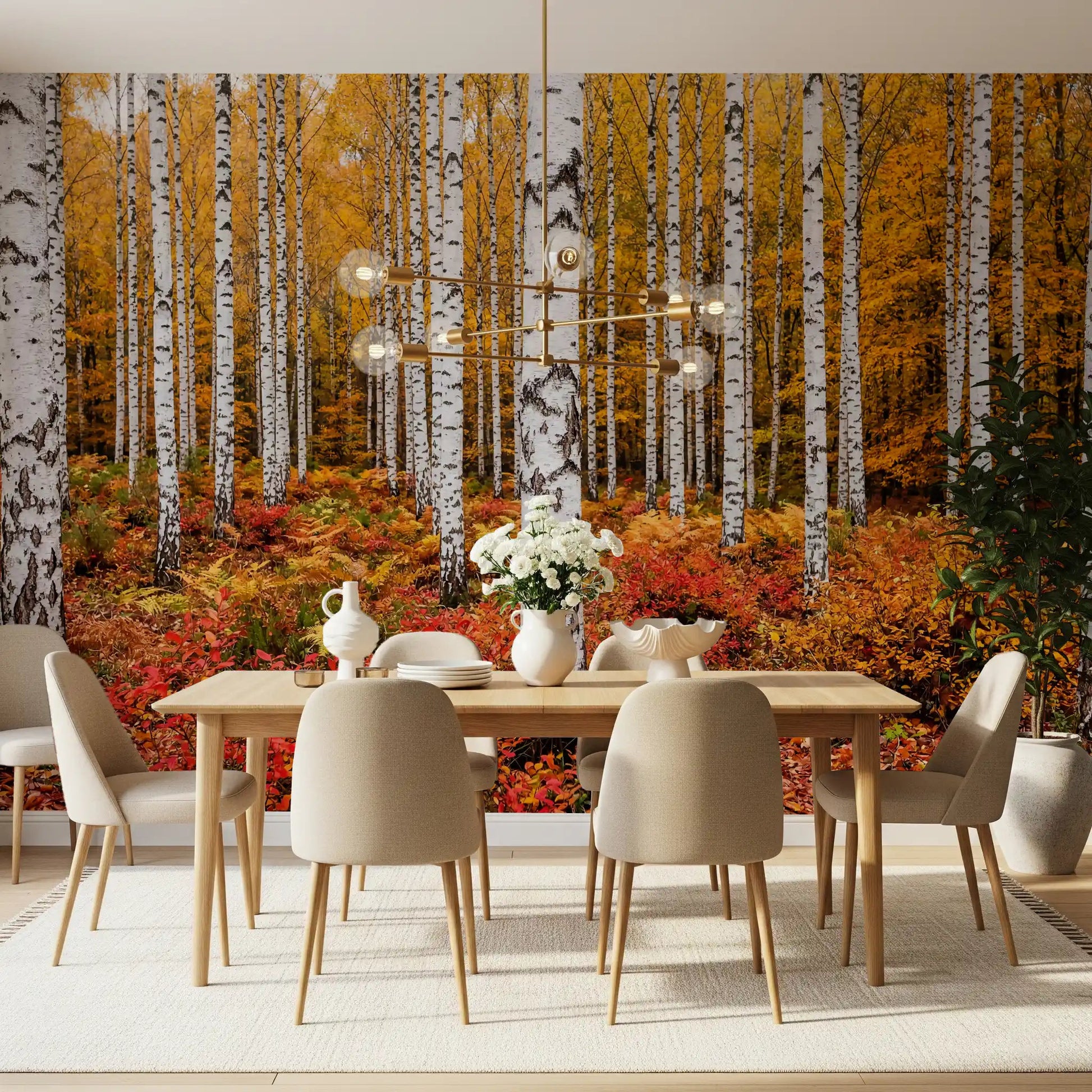 Dining room setup with Vibrant Autumn Birches wall mural woodland view