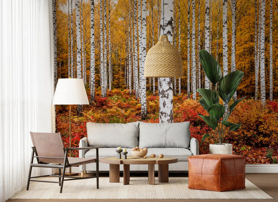 Living room styled with Vibrant Autumn Birches wall mural forest scene, GD9248