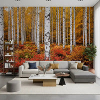 Autumn forest wall mural with Vibrant Autumn Birches tree pattern