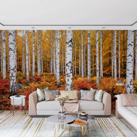 Hallway design using Vibrant Autumn Birches wall mural birch trees