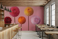 Each flower has numerous petals forming a spherical shape.

