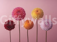 Ideal for adding a touch of nature and color to interiors.

