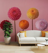 The flowers are shown against a solid light pink background.

