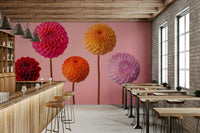 Striking display of five dahlia blooms.

