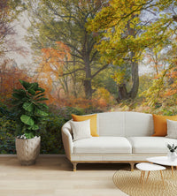 Focus on autumnal colors and natural light.

