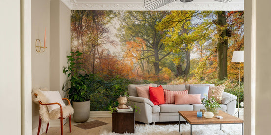 Picturesque pathway winding through a forest. GD3127

