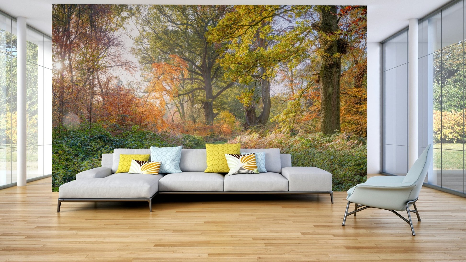 High-resolution image of an autumn forest path.


