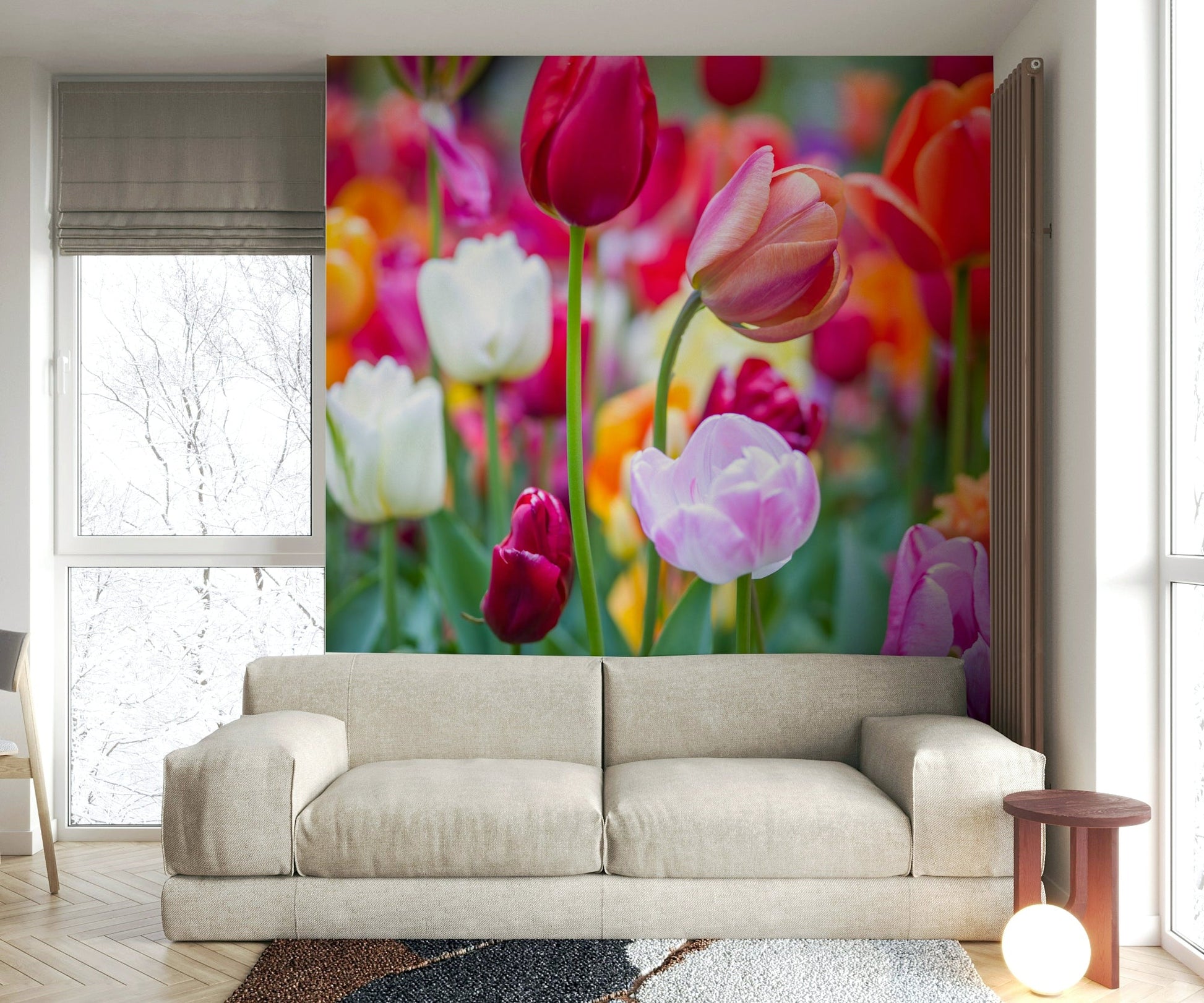 The lighting highlights the vibrant colors of the tulips.

