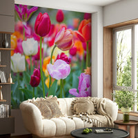 The tulips are in shades of pink, red, white, and purple.

