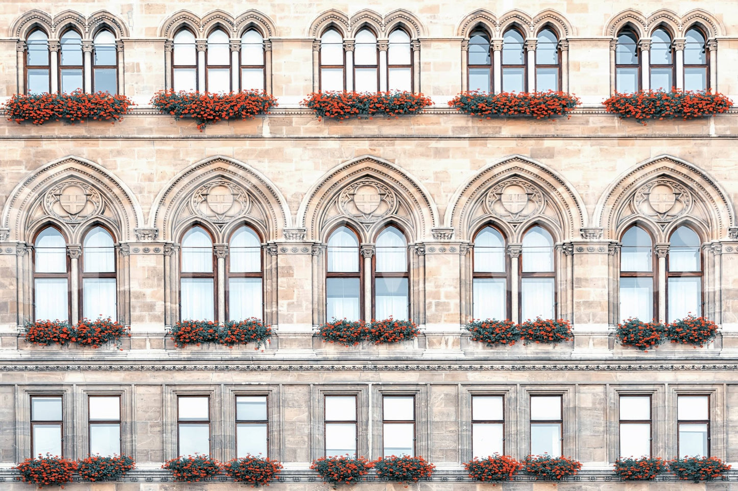 Vienna Facade Wall Mural with arched windows, stonework, and red flower boxes