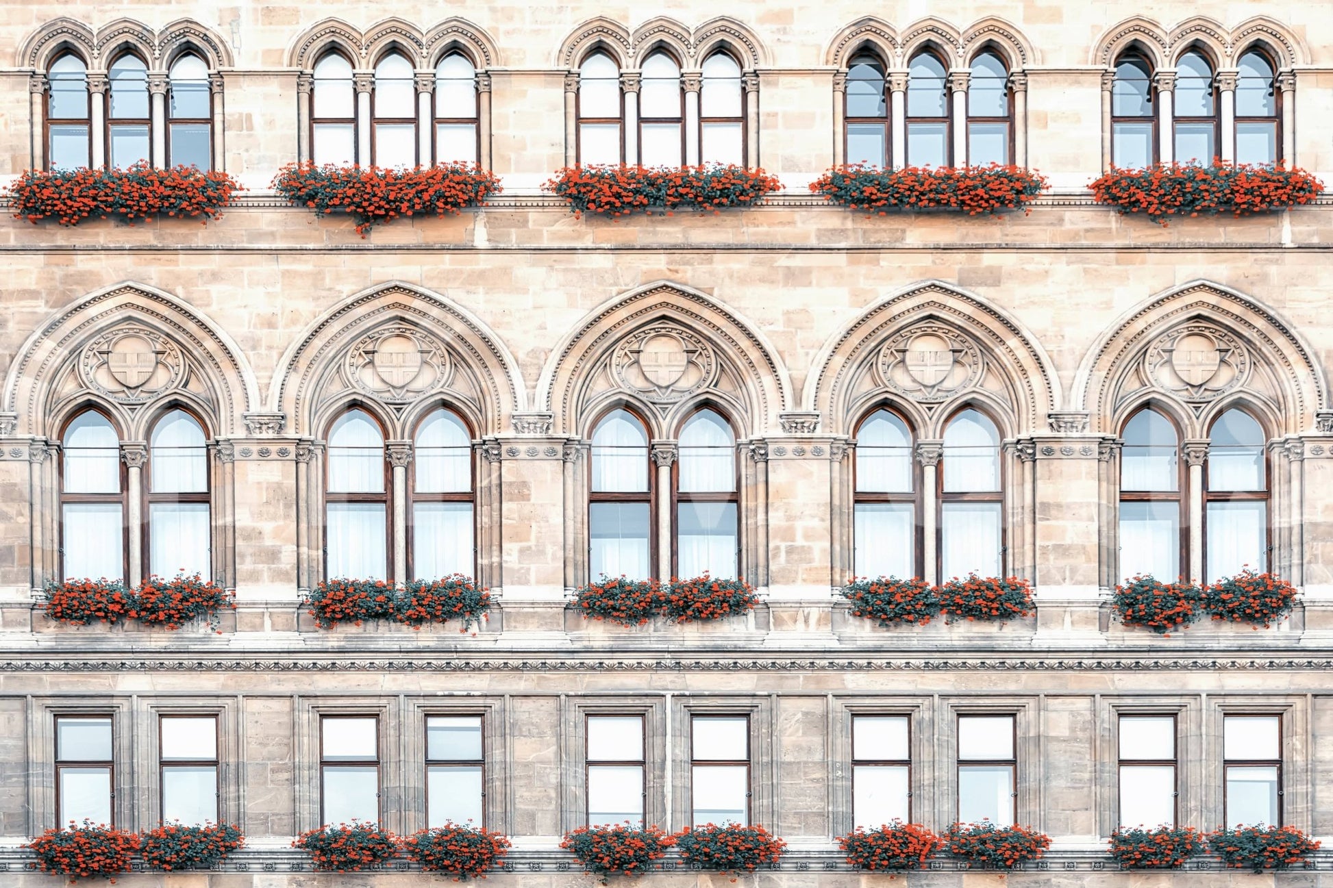 Vienna Facade Wall Mural with arched windows, stonework, and red flower boxes