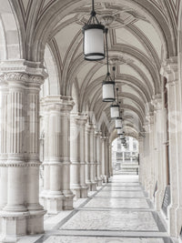 Vienna Opera House Wall Mural