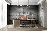 View from Montparnasse Tower Observation Deck wall mural

