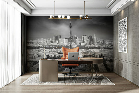 View from Montparnasse Tower Observation Deck wall mural

