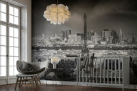 Stunning Parisian skyline mural from Montparnasse Tower

