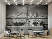Paris skyline with Eiffel Tower mural for living rooms


