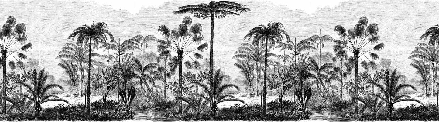 Vintage Black and White Drawn Palm Tree Wallpaper Murals