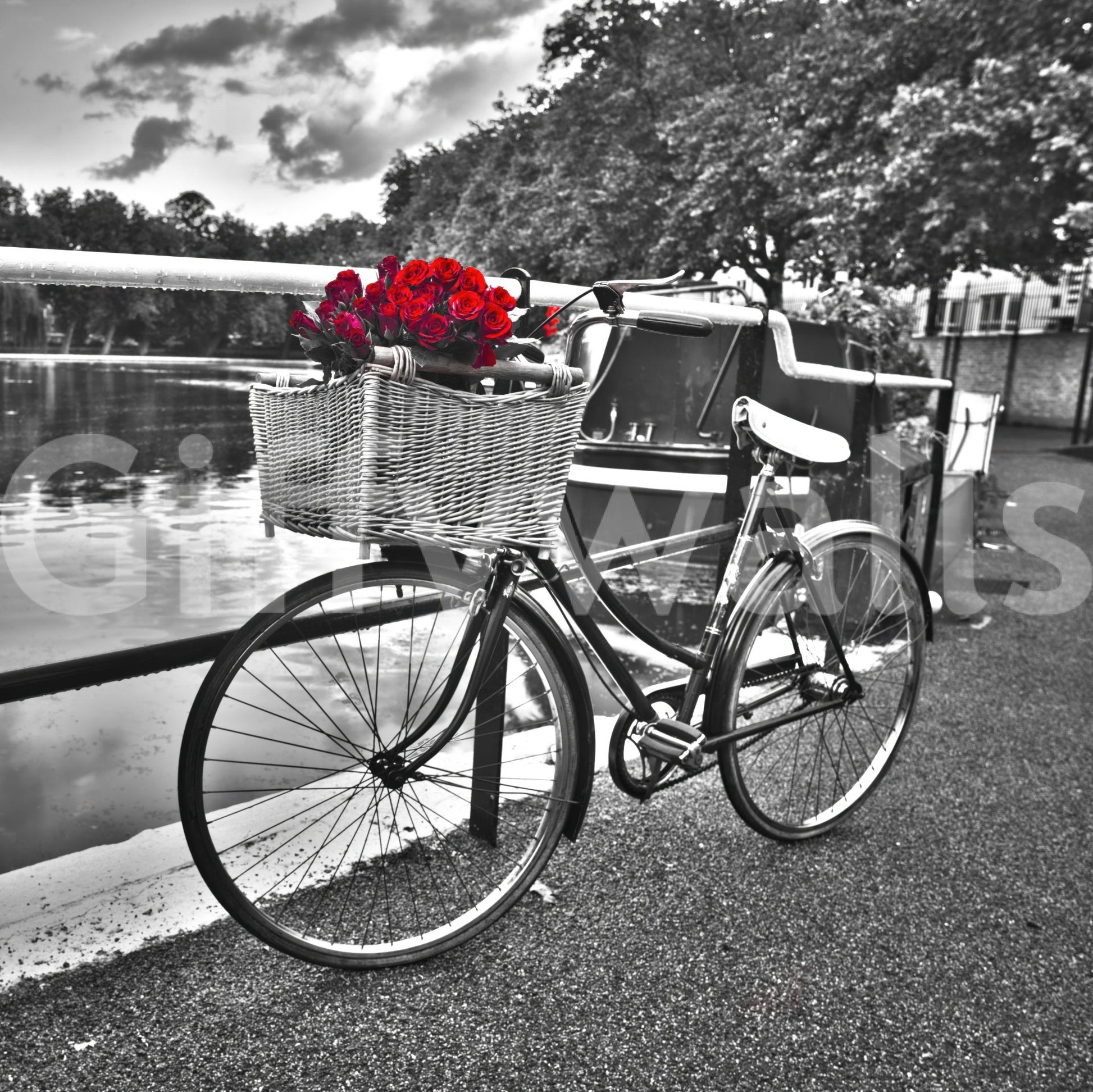 Artistic bicycle photography wall mural