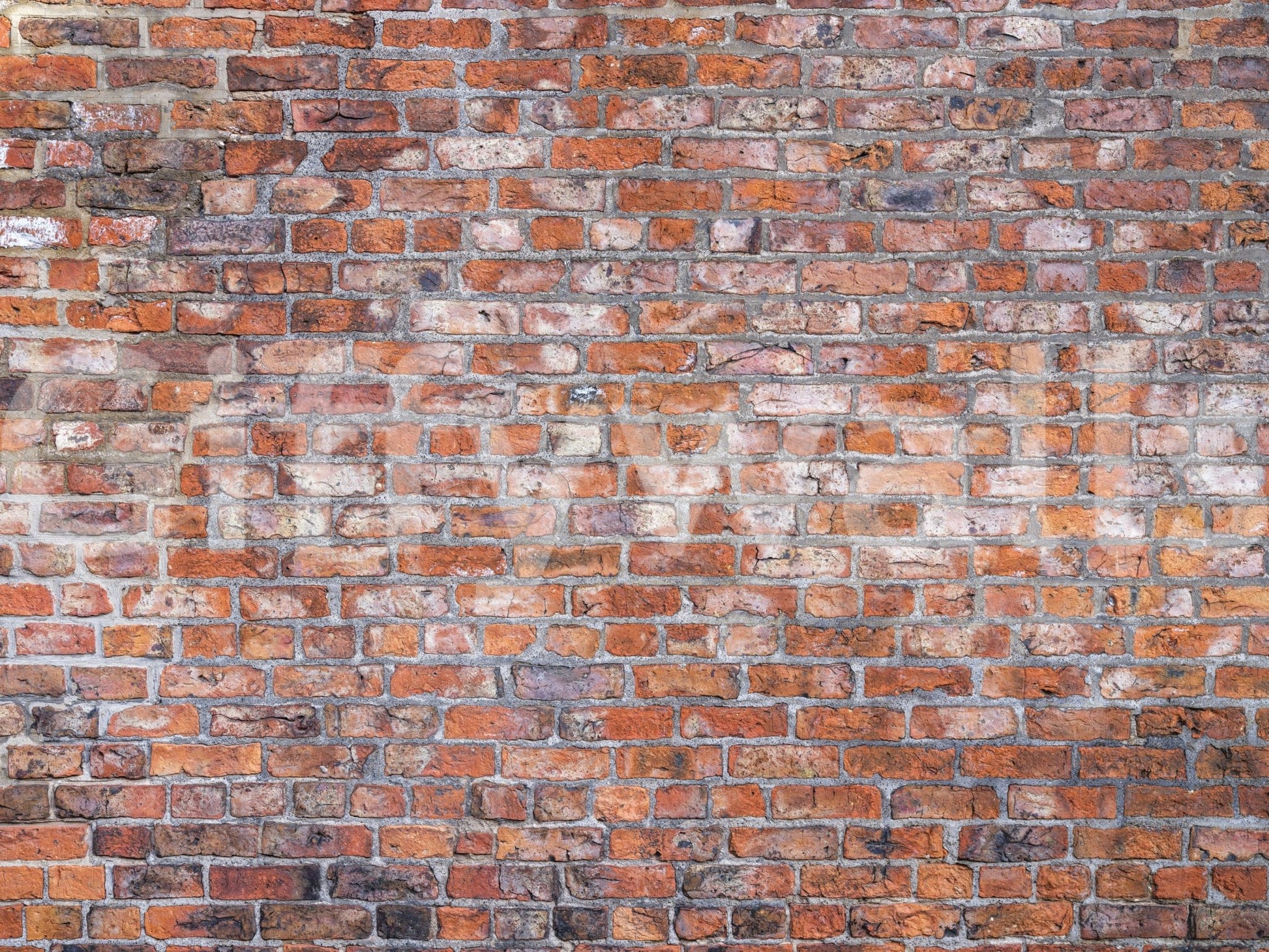 Weathered brick wall effect mural with vintage vibes.