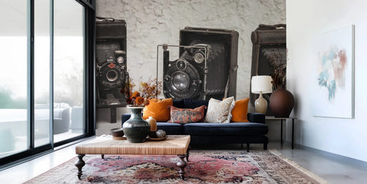Vintage Camera Trio wall mural with three old folding cameras on display