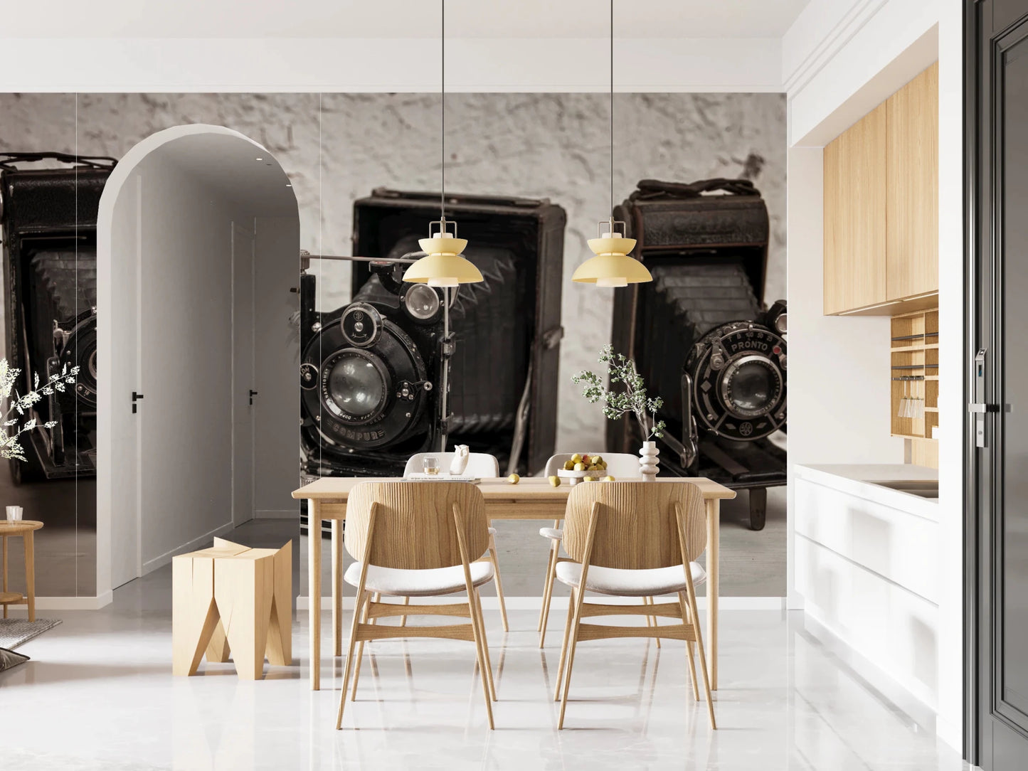 Vintage Camera Trio Wall Mural