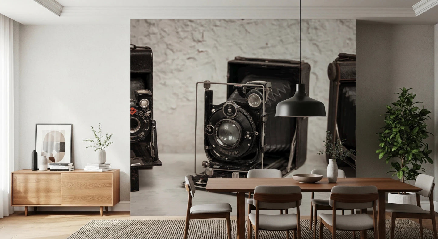 Vintage Camera Trio Wall Mural