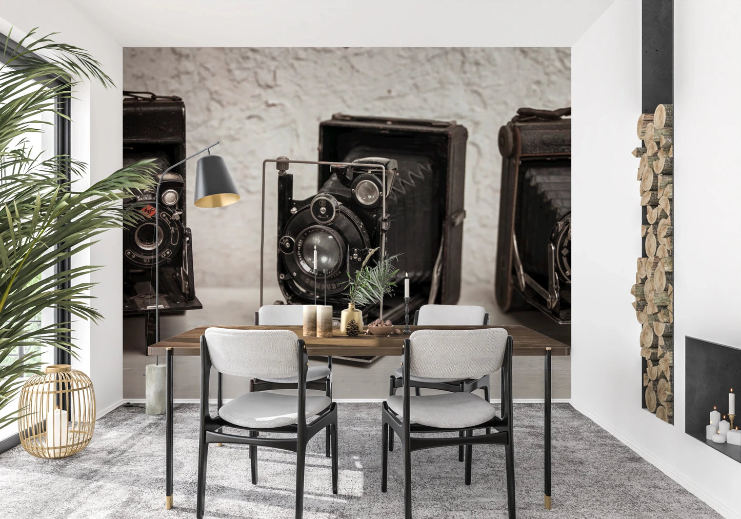 Vintage Camera Trio Wall Mural