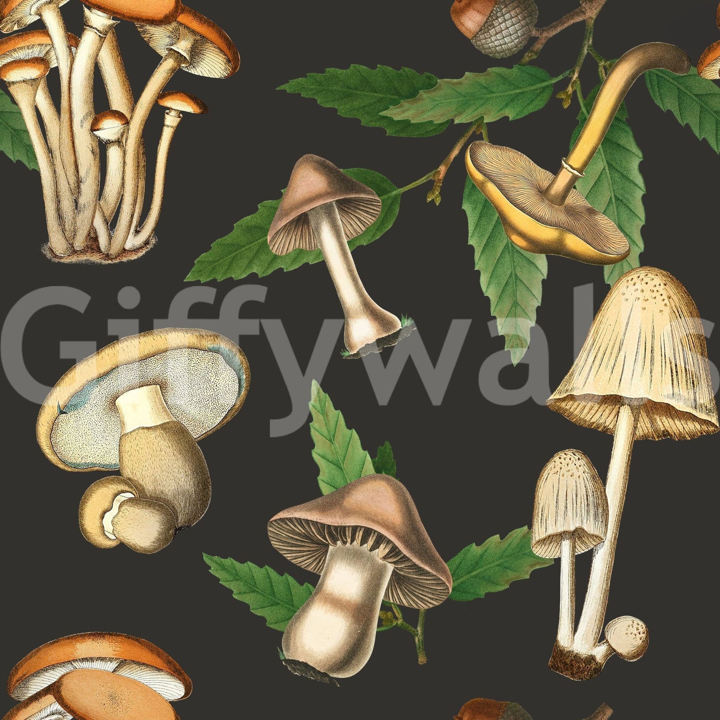 Moody dark backdrop with Vintage Forest fungi illustrations