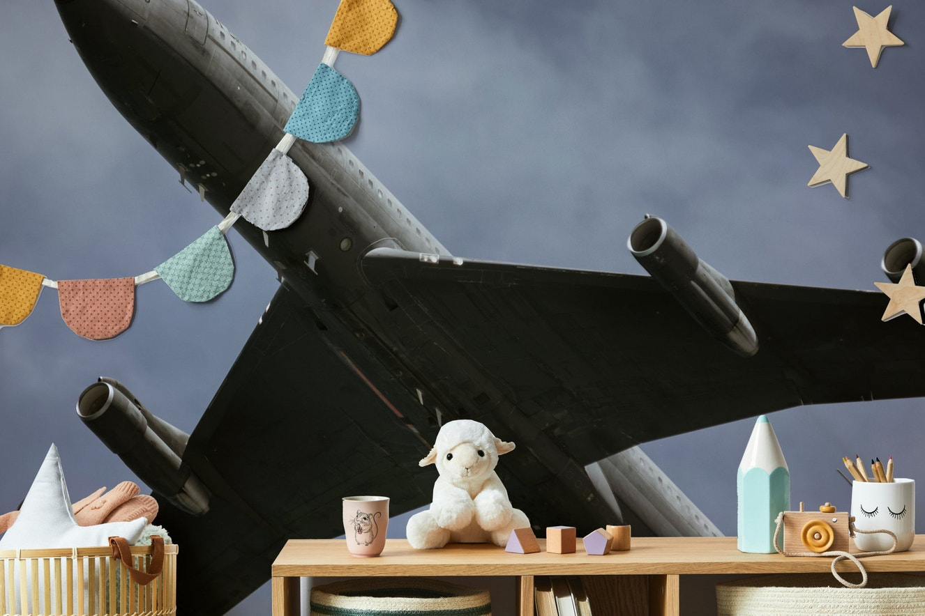 A beautiful vintage aircraft wallpaper mural for a modern home.

