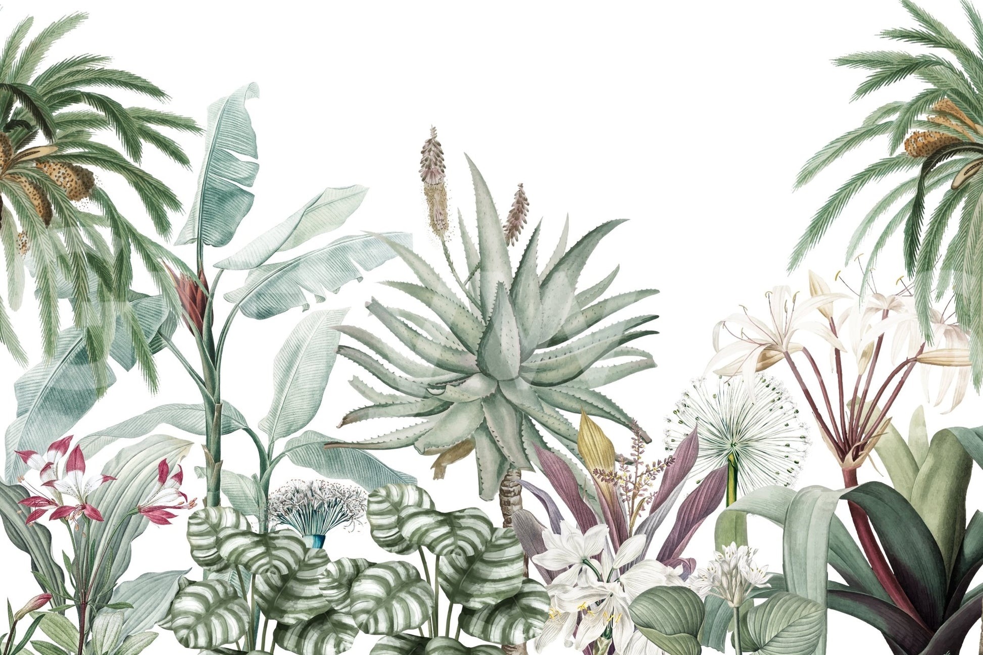 This wallpaper would work well in a living room or study.
