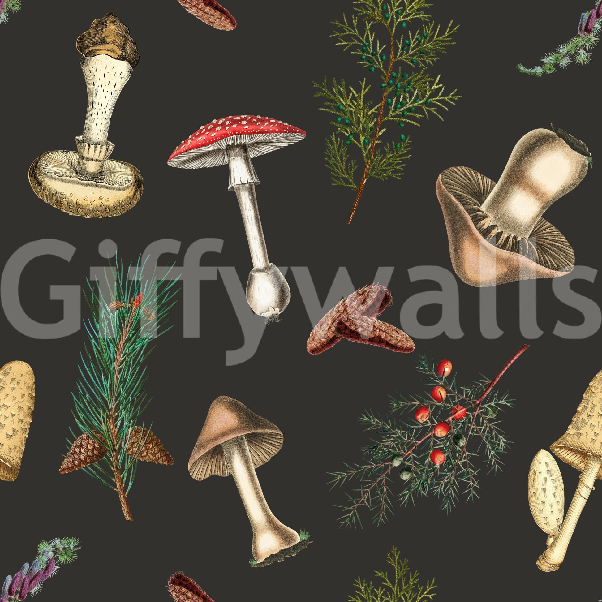 Forest Fir wallpaper with mushroom forms and vintage linework