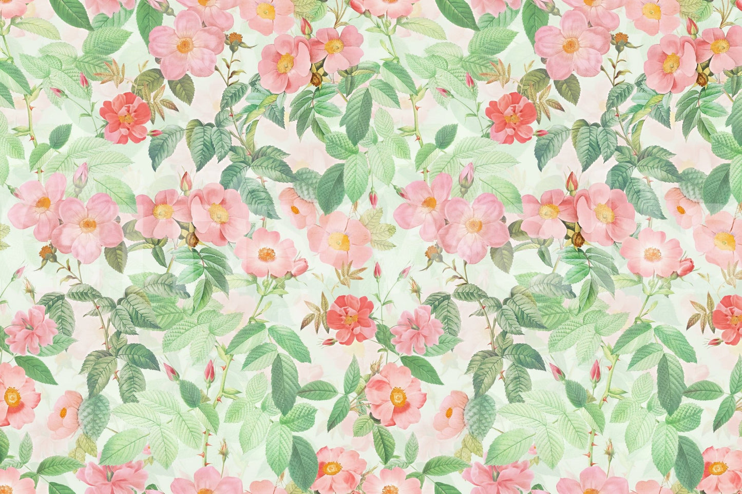 Timeless rose garden design of the Vintage Redouté Rose Garden Wall Mural.