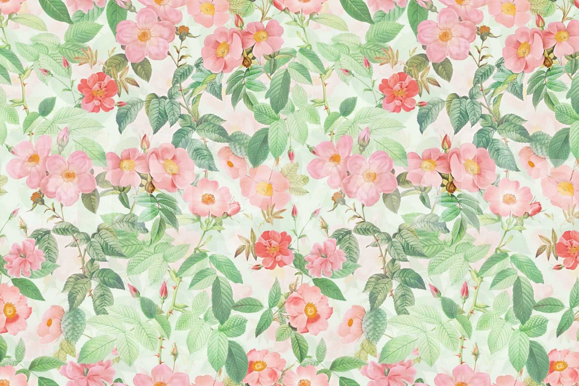 Timeless rose garden design of the Vintage Redouté Rose Garden Wall Mural.