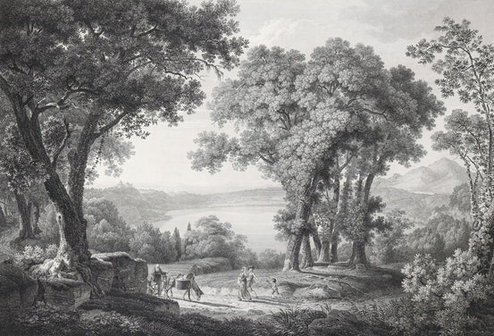 Vintage Sketched Gray Forest Tree Wallpaper - Giffywalls A464