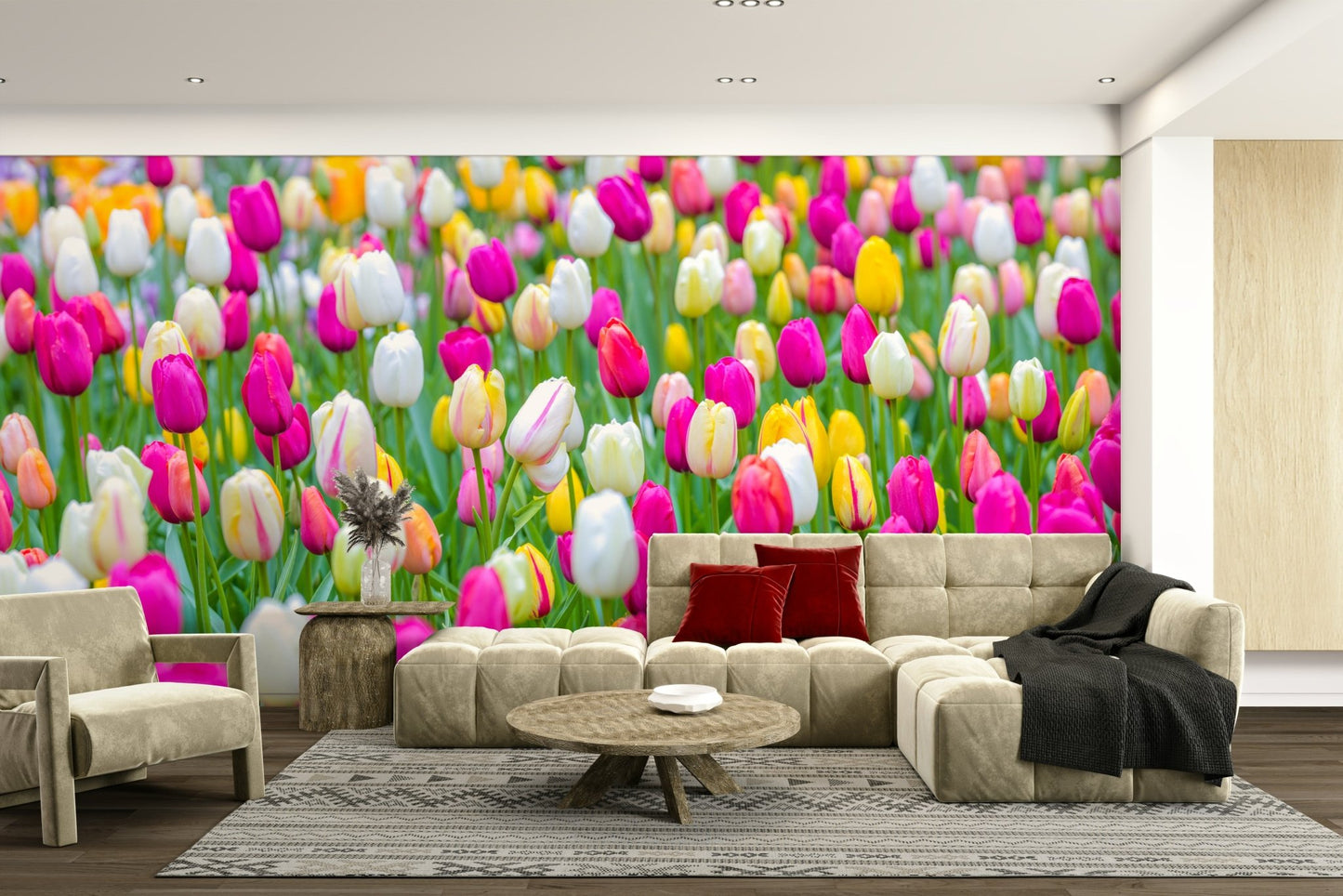 The composition is a wide, horizontal view.

