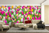 The composition is a wide, horizontal view.

