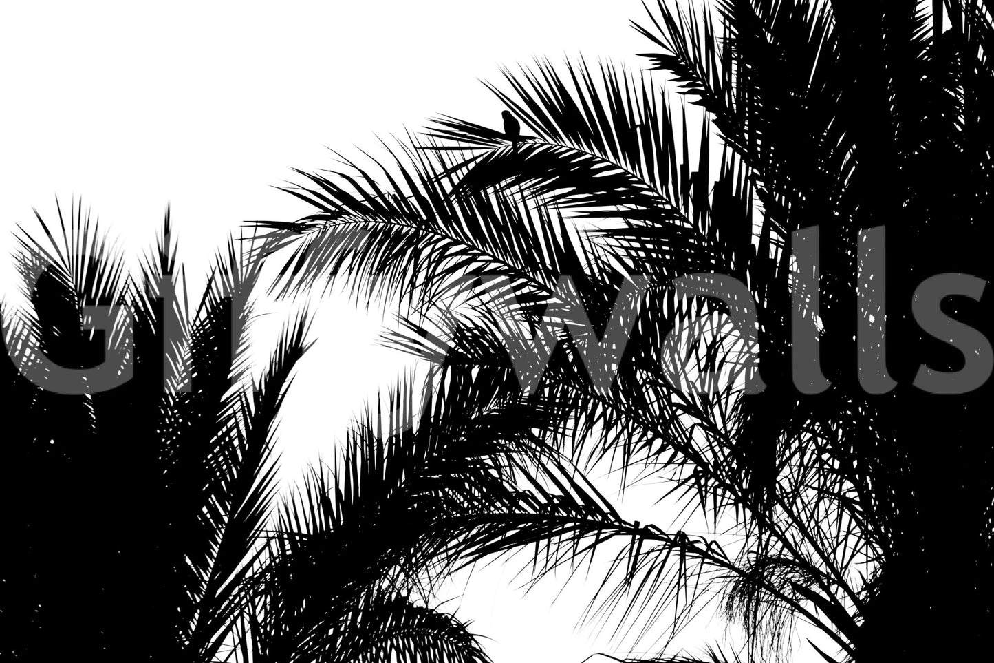 A high-quality abstract flow wall mural for walls.

