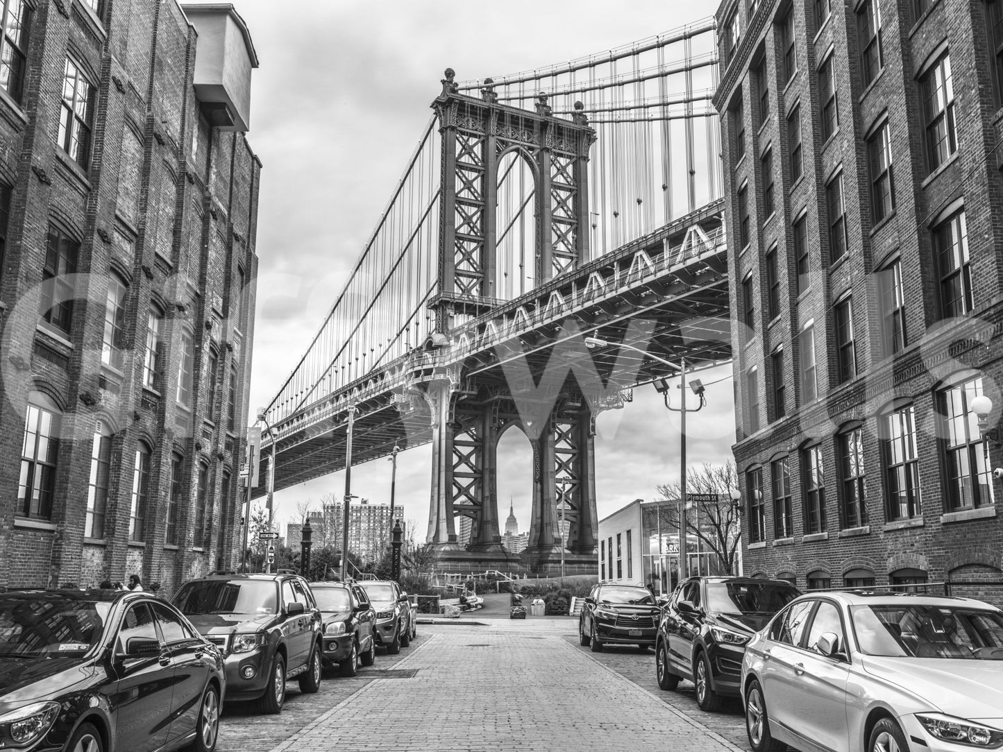 The image feels bold and sophisticated.

