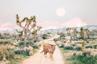 Focus on the tiger's eyes or powerful stride.







