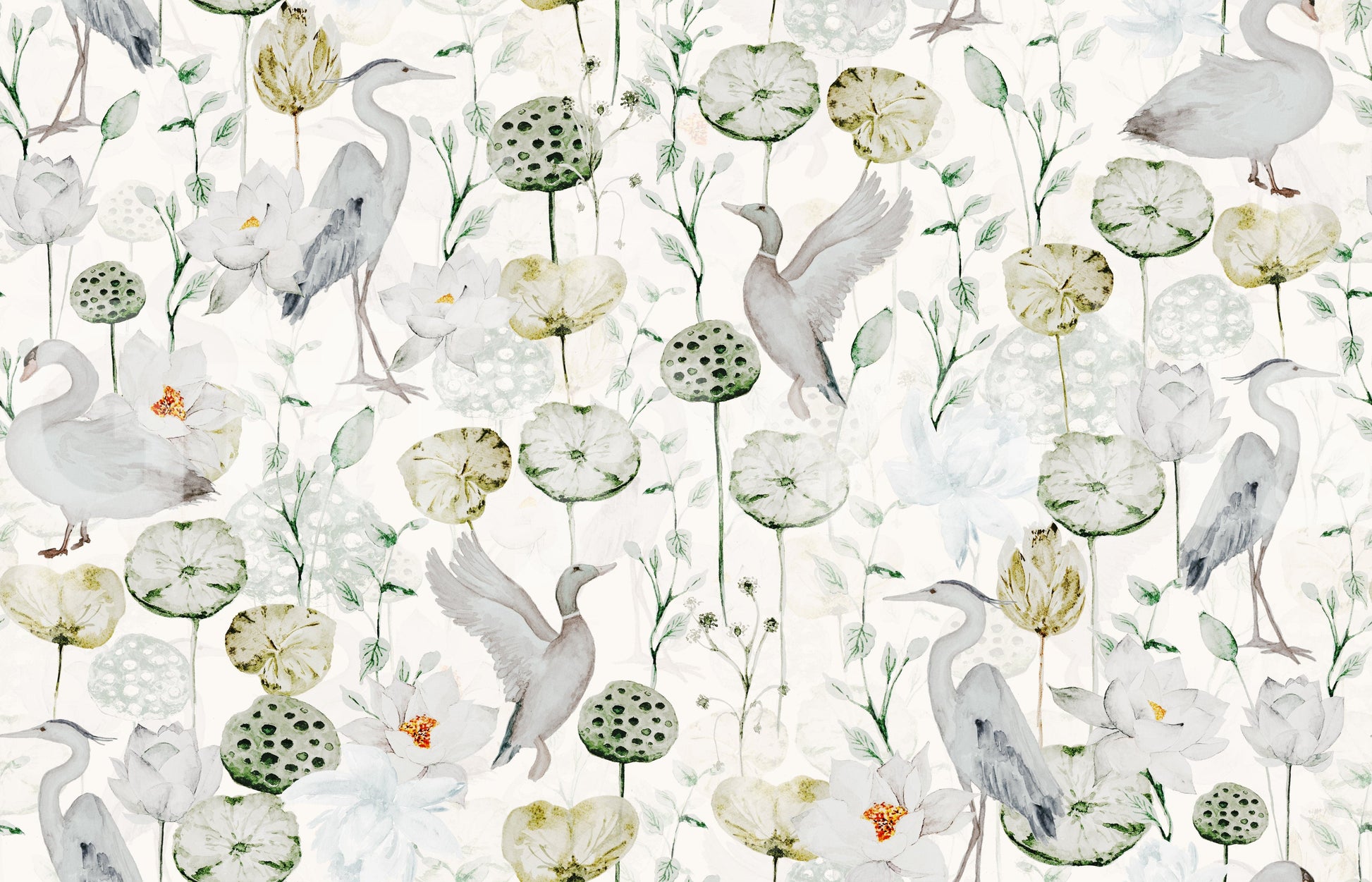 Interior design Water Garden Serenity wall mural elegant water lily elements.