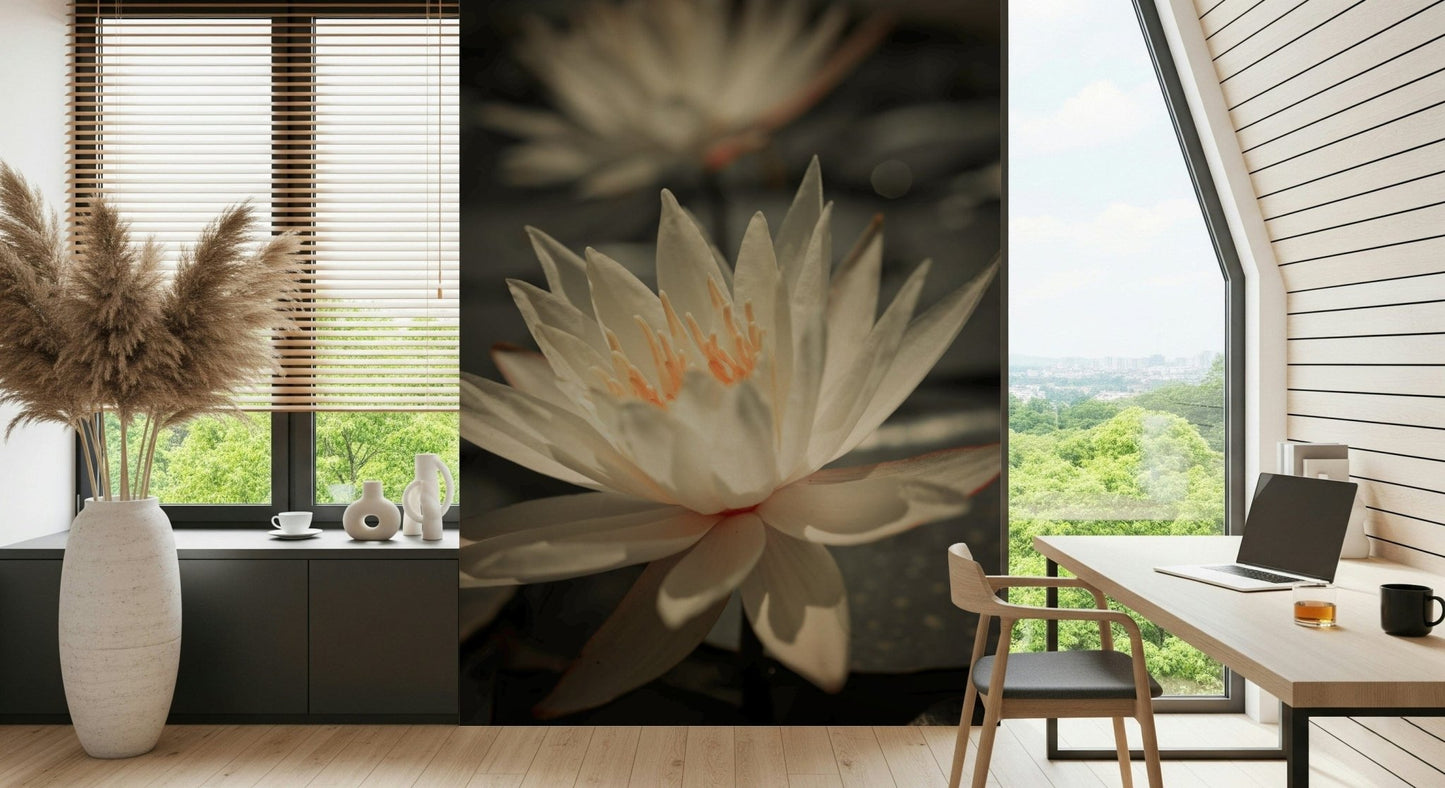 Close-up Water Lily Wall Mural, white bloom, soft focus, serene.