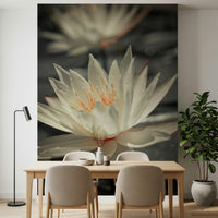 Giant flower bloom, light petals, stunning detail, Water Lily Wall Mural.