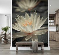 Monochrome background, vibrant white flower, beautiful Wall Mural design.