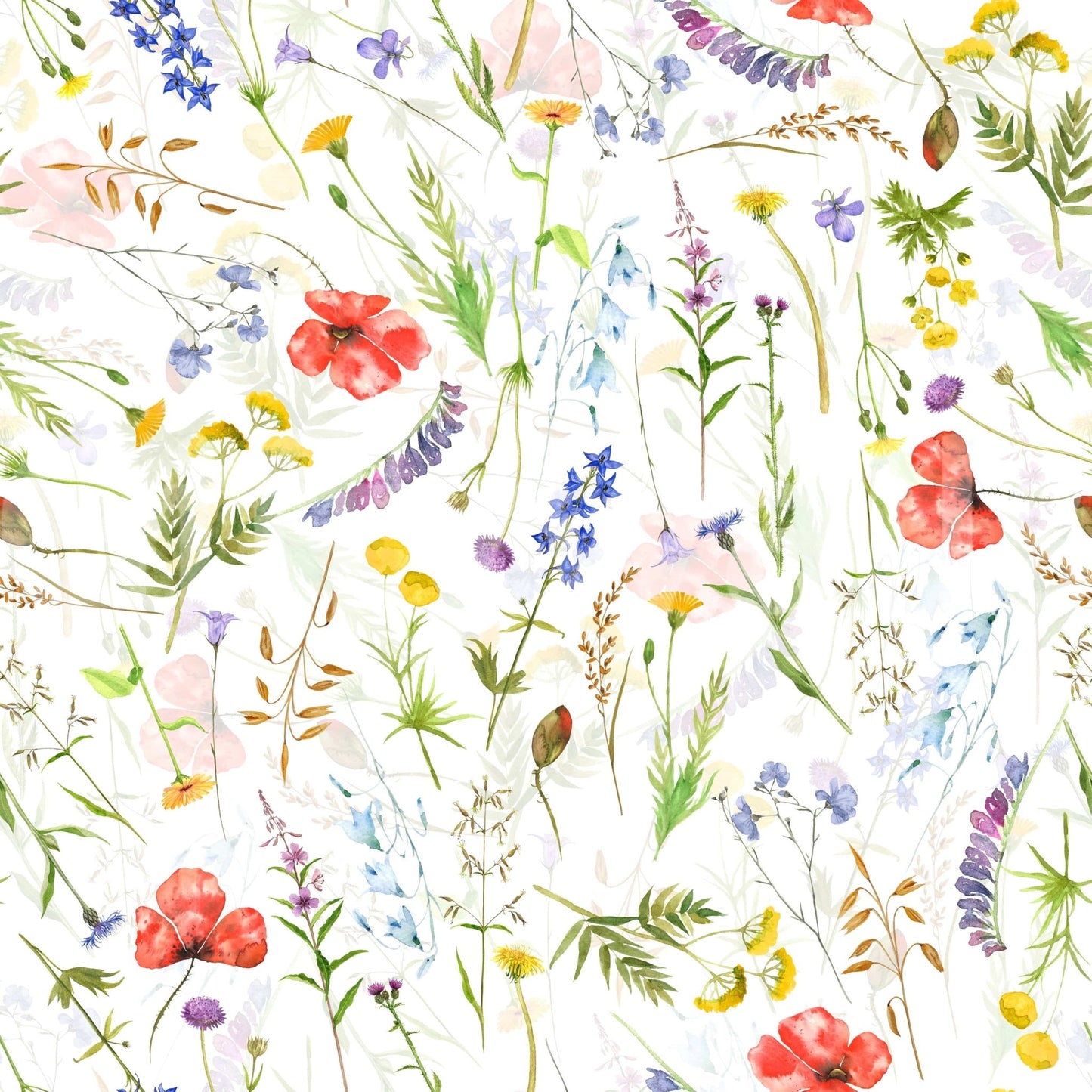 Lively meadow flower wallpaper design, summer wildflowers, Poppies Meadow.