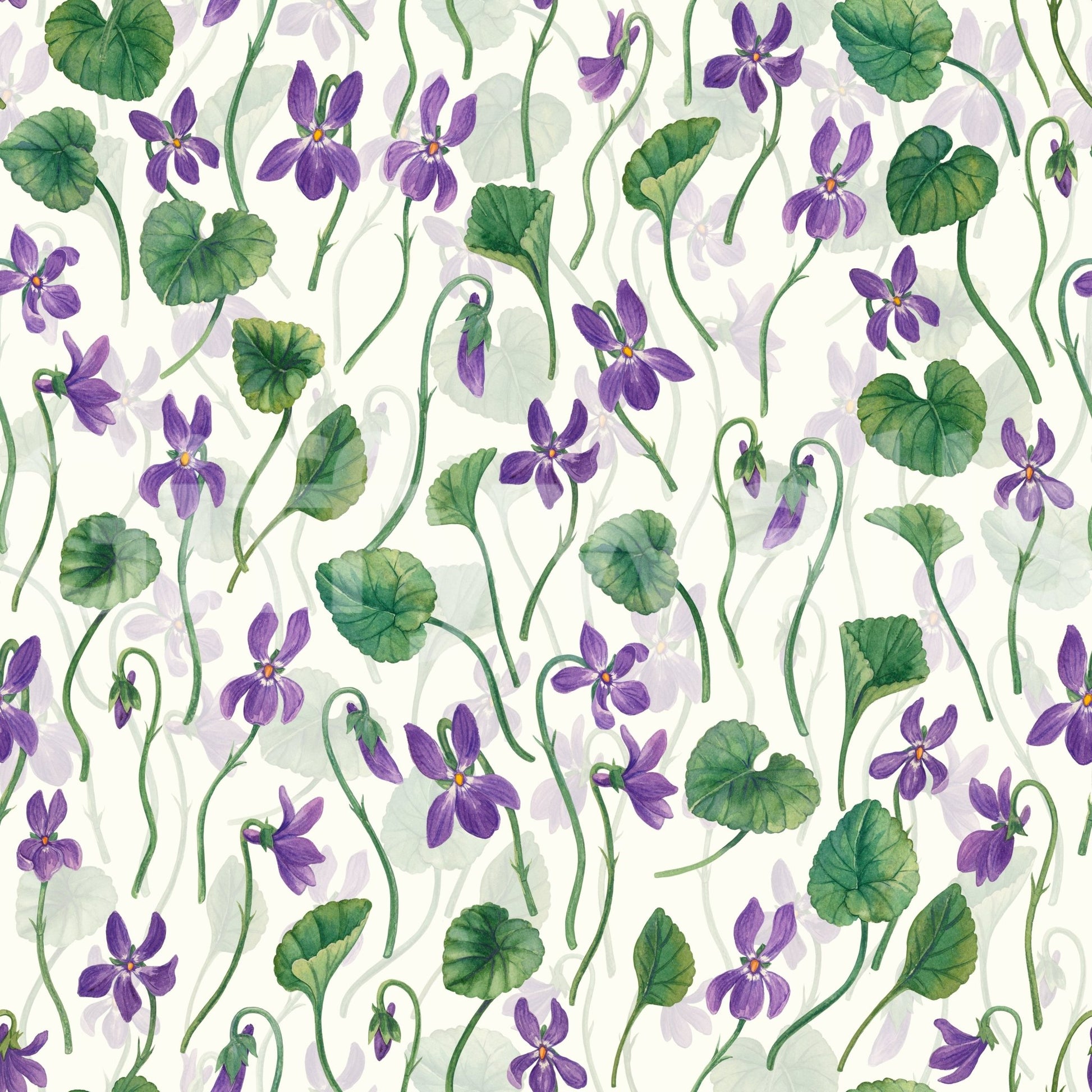 Light floral wallpaper with trailing violet stems and fresh greenery, GD9205