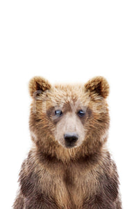 Curious bear cub looking forward

