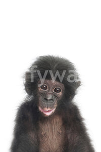 Sweet monkey baby front view

