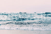 Flowing ocean waves blush theme

