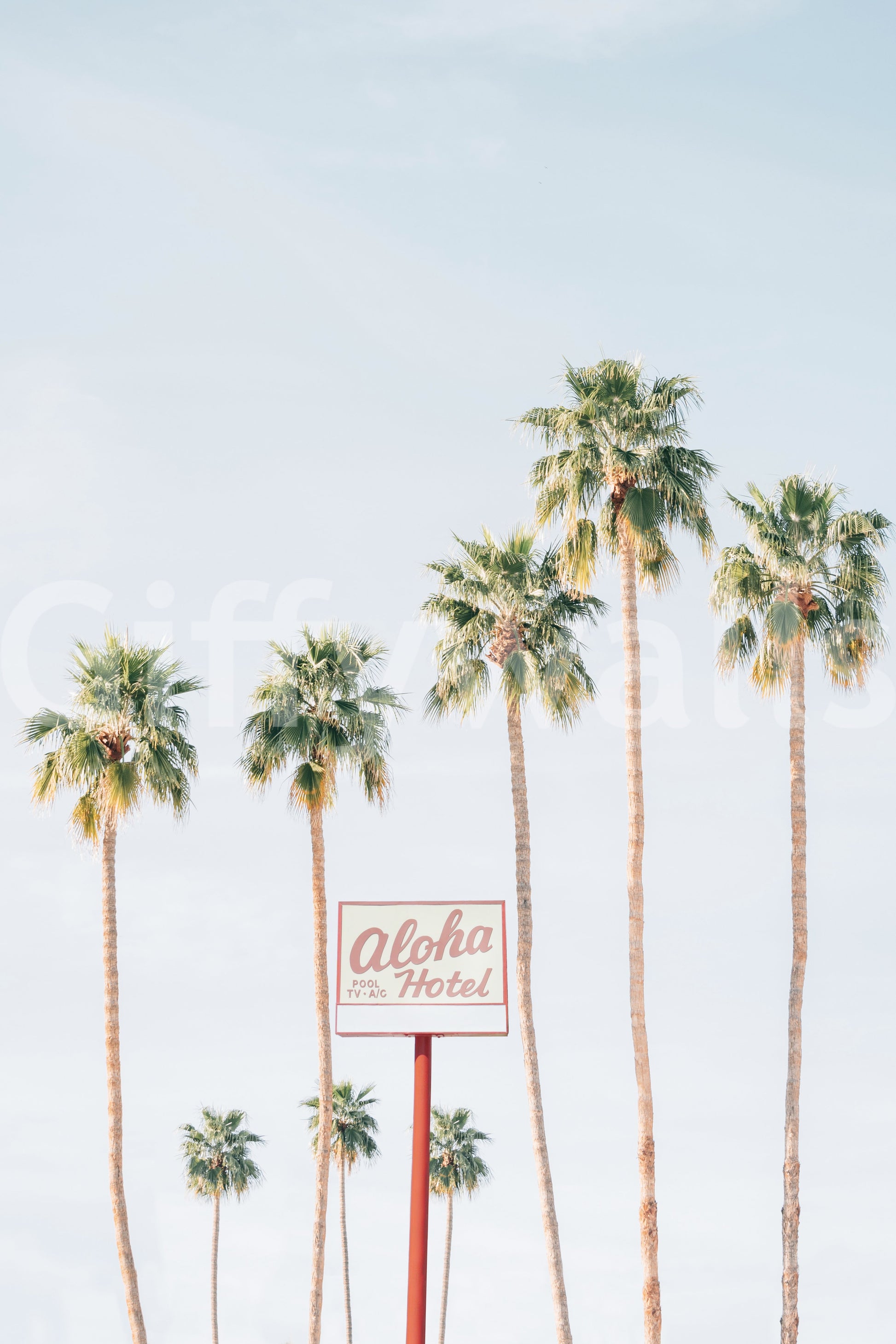 Vacation vibe mural wallpaper

