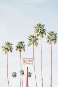 Vacation vibe mural wallpaper

